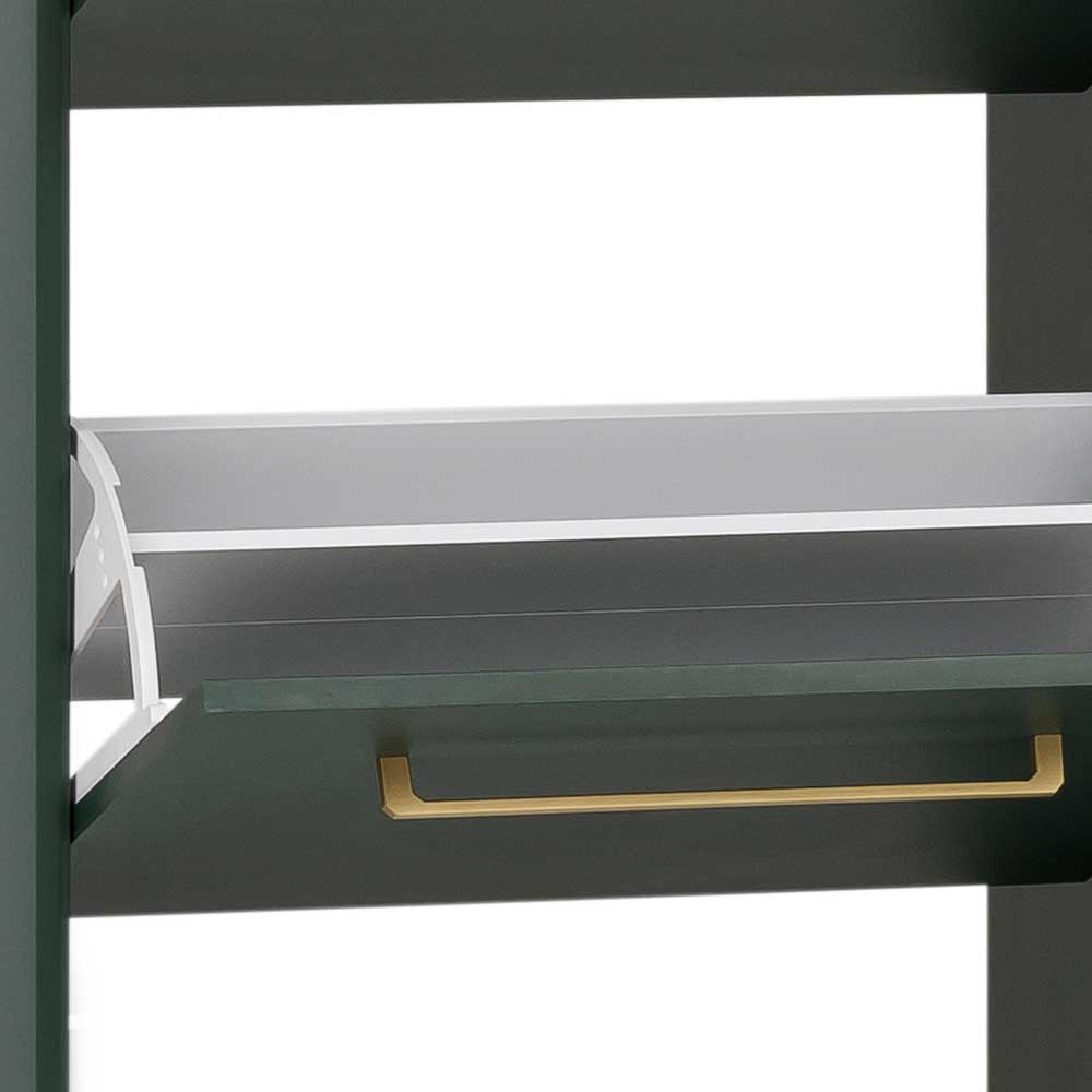 Schuhschrank Klappfach in Dunkelgrün mit goldener Griffleiste und Innenleben – Aqua