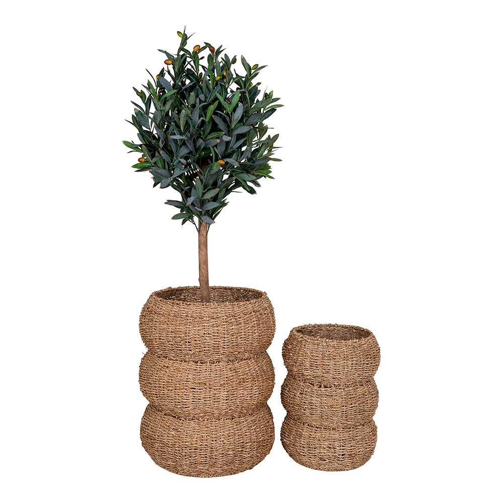 Seegras Körbe im Landhausstil - Lottessa (zweiteilig)